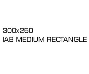 IAB Medium Rectangle - 300x250