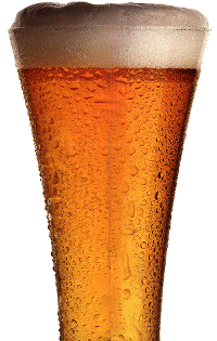 frothy beer glass